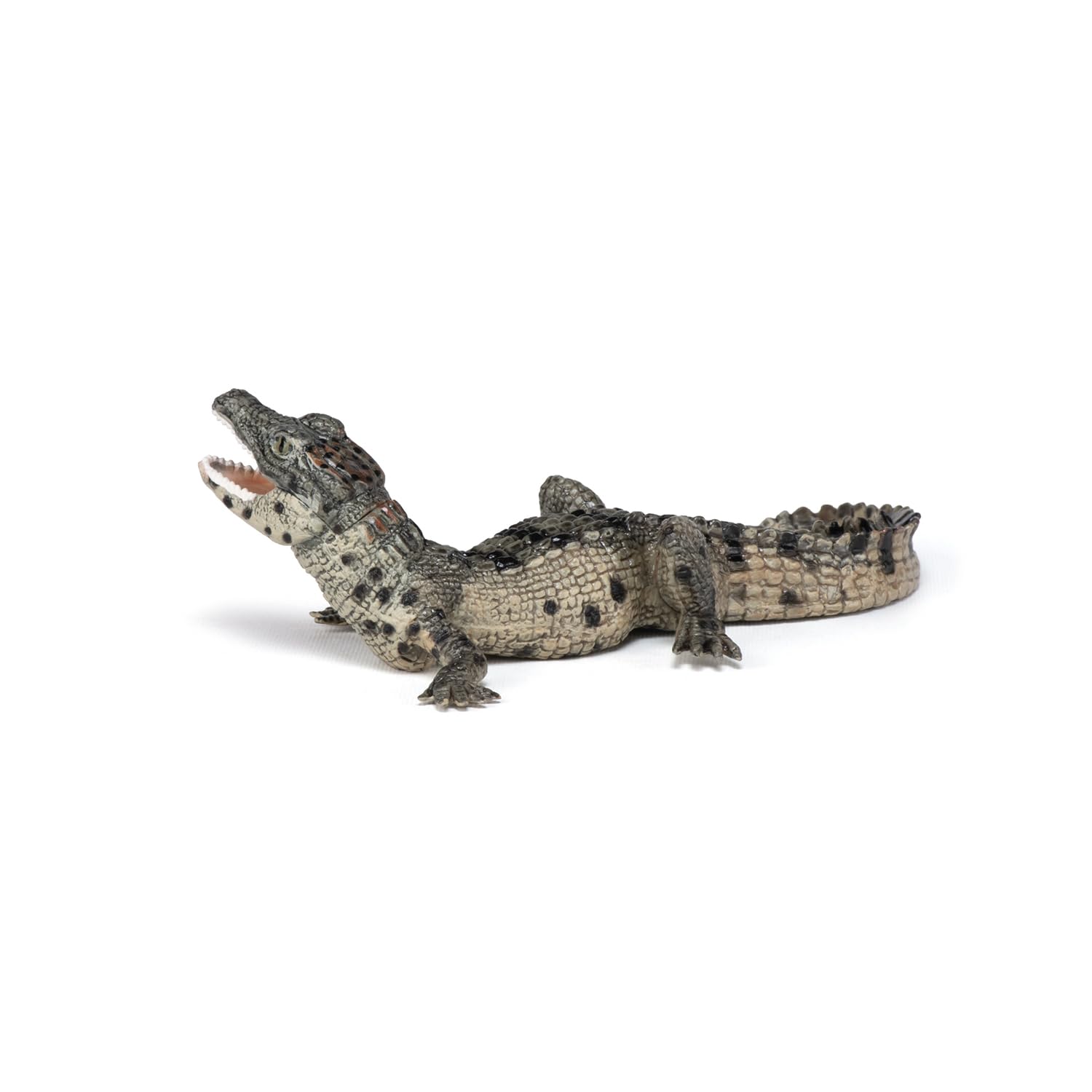 Papo Baby Crocodile Figure, Multicolor 5