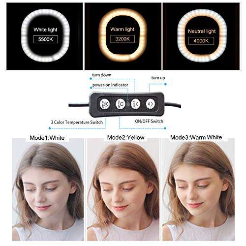 7×6" Selfie Ring Light,Dimmable USB Desktop lighting with Adjustable Stand & Cell Phone Holder for Live Stream/Makeup, for Vlog, YouTube Video/Photography, Compatible with iPhone Android (oval) 3