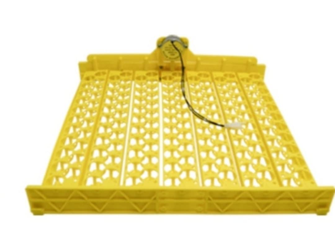 BL Electronics Automatic Incubator Egg Tray Design for 154 Quail Eggs Plastic tray set With AC220V 4W Motor