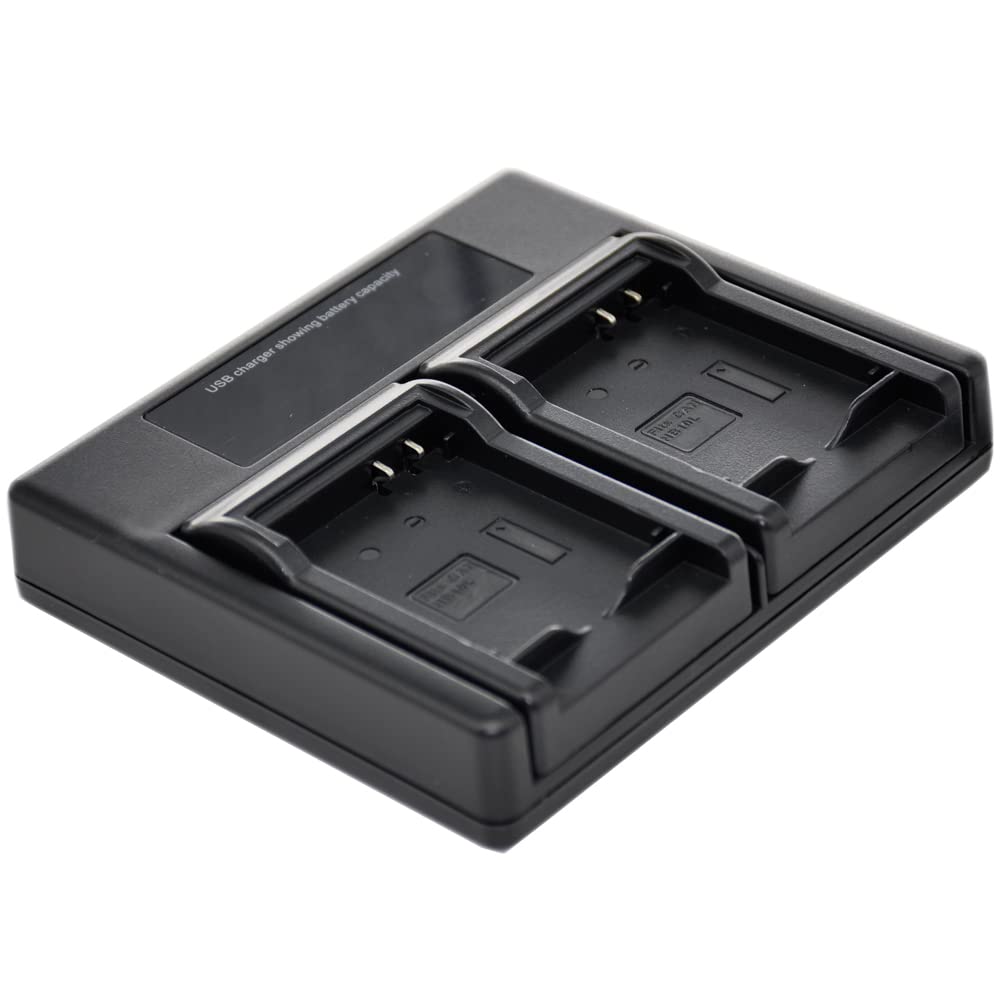 BTBAI Camcorder Battery for BN-VF808U VF823 VF815U VF808 VF823U Video s2a (1x Charger USB Dual) 3