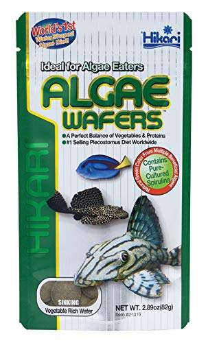 Hikari USA Inc AHK21316 Tropical Algae Wafer Fish Food, 82g 1