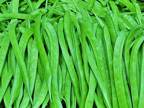 Cluster Beans/GUAR Bean/KOTHAVARANGA/SEENIYAVARAKA Seeds 50 Seeds