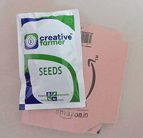 Creative Farmer Vegetable Seeds Thanni Mathan Seeds - Watermelon Striped Oval Seeds Seeds For Farming Home Garden Seeds 3