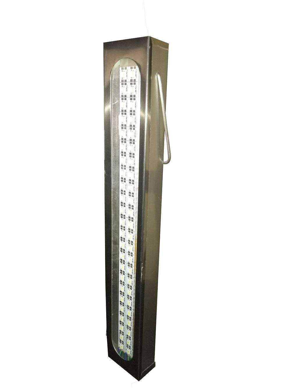 Param Rechargeable LED Light (Multicolour) 1