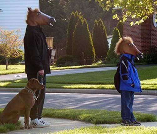 Miyaya Halloween Horse Head Mask 6