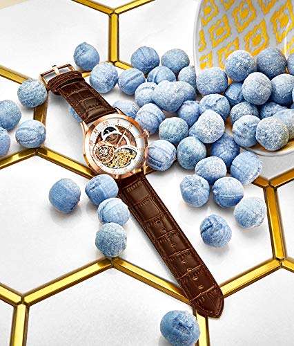 Stührling Original Automatic Watch for Men Skeleton Watch Dial, Dual Time, AM/PM Sun Moon, Leather Band, 571 Mens Watches Series (Rose Gold-A) 6