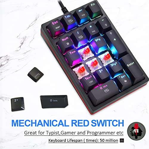MOTOSPEED Macro Mechanical Numeric Keypad USB Wired 21 Keys Mini Numpad Portable Keypad RGB Backlight Gaming Keypad Extended Layout for Cashier(Fully Programmable Keys) 2