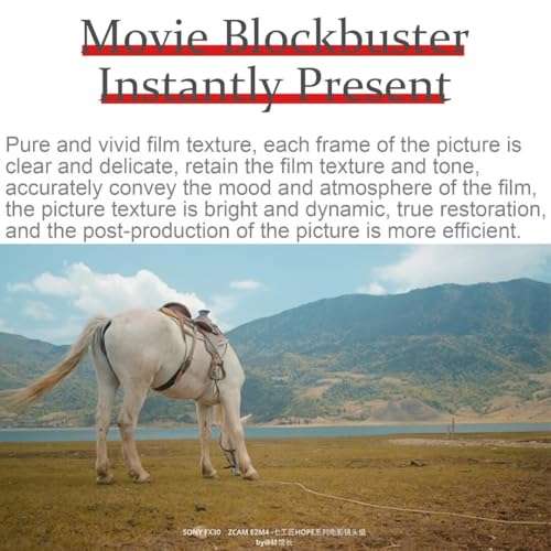 7artisans 10mm/16mm/25mm/35mm/50mm/85mm T2.1 Cine Lens for M43 Mount APS-C 260° Ultra Long Focus Large Aperture Prime Mirrorless Camera Lens for Portraiture/Street Photography/Humanistic(16mm) 2