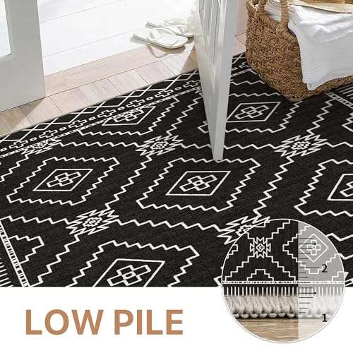 GENIMO Area Rug 3x5 Boho Chic Machine Washable Rugs for Living Room, Farmhouse Floor Cover, Geometric Print Thin Low Pile Carpet Mat with Non Slip Rubber Backing, Aztec Black 5