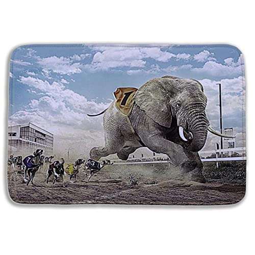 WorldCare® Type 6, 40Cm Hx60Cm W : Bath Rufs Animal Snow Toilet Mats Microfiber Memory Foam Bath Anti Slip Kitchen Bathroom Rugs 2