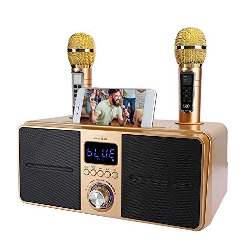 Bewinner1 KTV Kit Bluetooth Karaoke Speaker, Karaoke Equipment with Double Microphone for Home, AUX USB Universal Video Multipurpose Machine for Phone/Tablet/PC, 2 Wireless Karaoke Microphones(Oro)