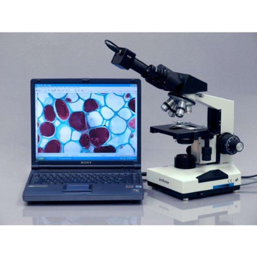AmScope B490B-LED Compound Binocular Microscope, WF10x and WF20x Eyepieces, 40X-2000X Magnification, Brightfield, LED Illumination, Abbe Condenser, Double-Layer Mechanical Stage, Sliding Head, High-Resolution Optics, Anti-Mold 5