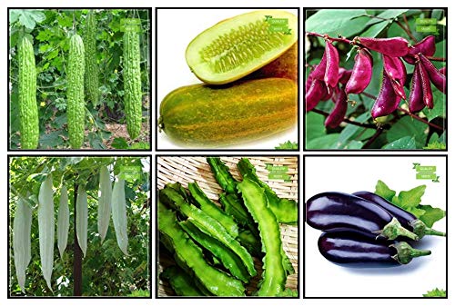 Creative Farmer Best Season Combo Vegetable Seeds : Bittergourd, Cowpea (Vj), Dolichus Beans (Grace), Pumpkin, Ridgegourd, Winged Bean(Revathy) For Gardening