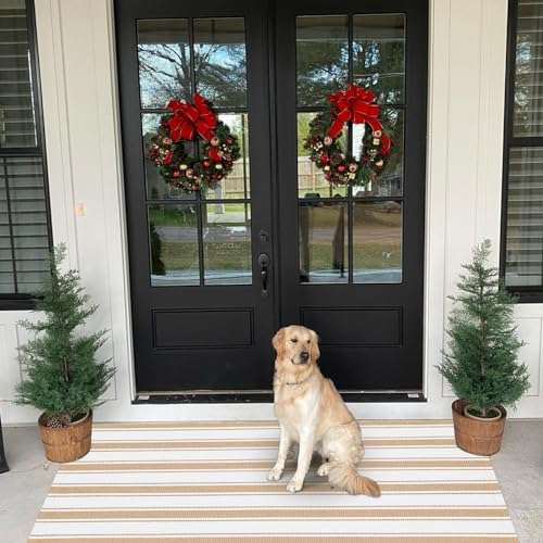 LEEVAN Washable Area Rug 3x5, Reversible Striped Outdoor Rug Tan, Low Profile Small Patio Rug Door Mat Indoor, Cotton Woven Backyard Mats, Non-Shedding Front Porch Deck Floor Carpet 3