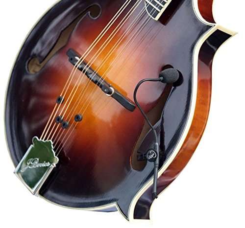 Myers Pickups The Feather F-Style Mandolin Pickup with Flexible Micro-Gooseneck 1