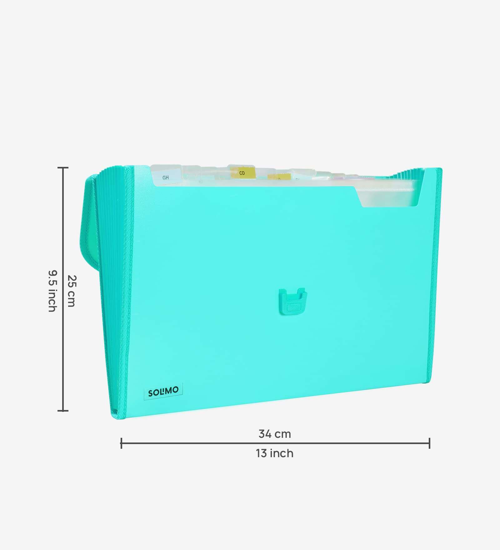Amazon Brand - Solimo Plastic Expanding File Folder with 13 Pockets, Handle, and Buckle Closure, for A4 Size Documents (Green) 6