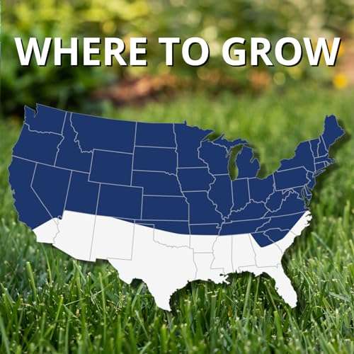 Jonathan Green (10322) Black Beauty Ultra Grass Seed - Cool Season Lawn Seed (7 lb) 6