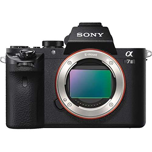 Sony Alpha a7II Mirrorless Interchangeable Lens Camera Body Bundle with 64GB Memory Card, Battery Grip, Flash, Camera Bag, Paintshop Pro, Dual Batteries and Accessories (9 Items) 3