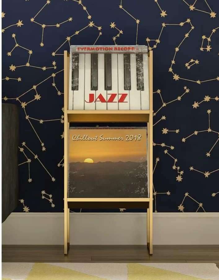 INDIDECOR 25025 Classic 2-Tier Vinyl Record Storage Rack, Vinyl Record Shelf, LP Storage Shelf, Record Holder for Albums, Large Capacity Vinyl Record Display Stand - Golden 4