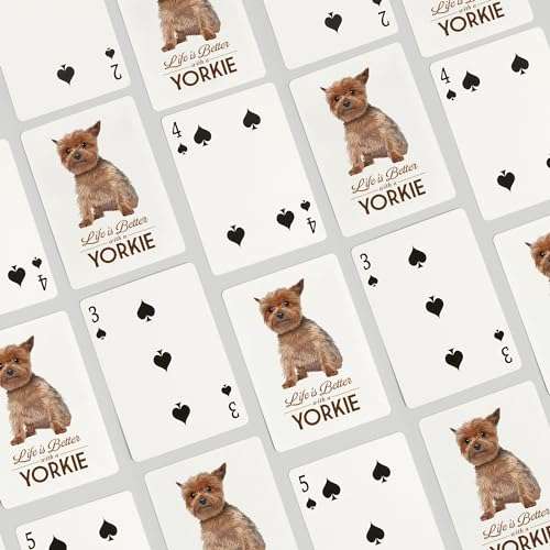 Lantern Press Yorkie, Life is Better, White Background (52 Playing Cards, Poker Size Card Deck with Jokers) 4