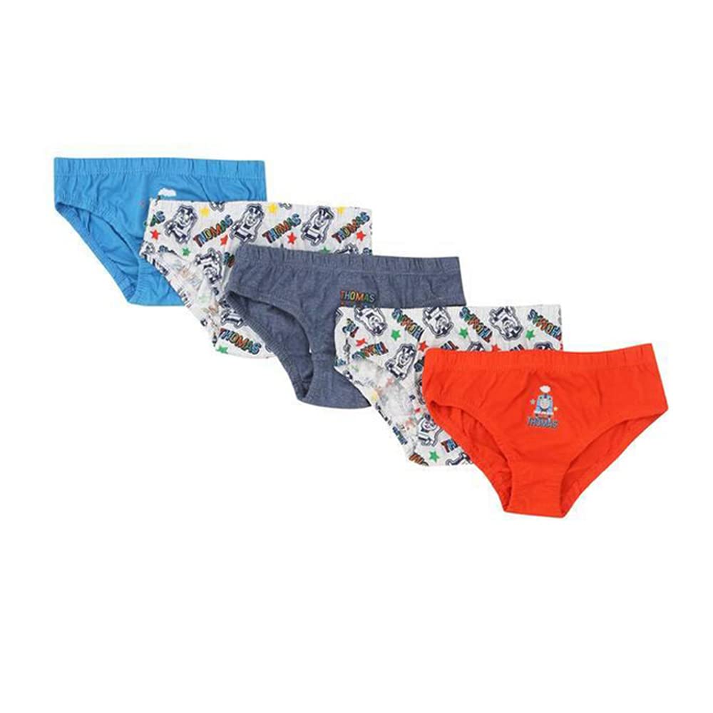 Mothercare Baby Boy's Regular fit Floral Underpants Set (Pack of 5) (SE404-1_Blue_18-24M) 1