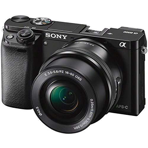 Sony Alpha a6000 Mirrorless Digital Camera (Black) with Sony 16-50mm f/3.5-5.6 OSS Lens (Black) + Professional Accessory Bundle 2