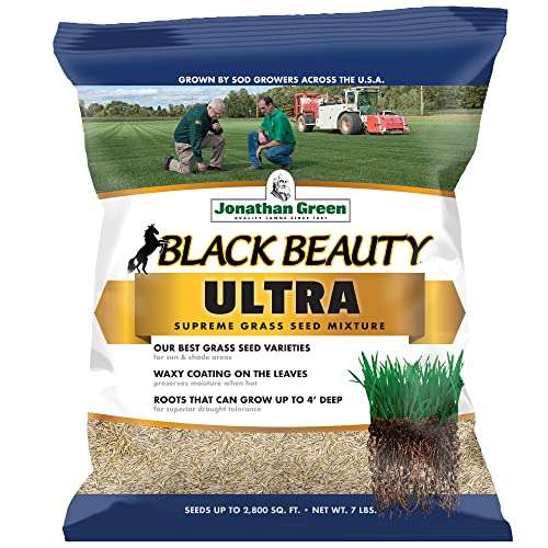 Jonathan Green (10322) Black Beauty Ultra Grass Seed - Cool Season Lawn Seed (7 lb) 1