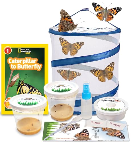 Live Butterfly Growing Complete Kit - Includes 10 Live Caterpillars - All-in-One Kit with Net Cage, Food, and Rearing Supplies - Book Bundle