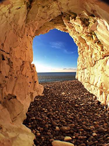 olloclip 4-IN-1 Lens for iPhone 6/6s and 6/6s Plus Silver Lens/Black Clip (Wide-Angle, Fisheye and Macro Lens) 2