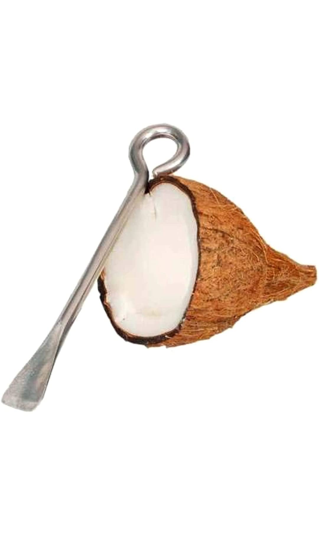 POOJA ECOMMERCE,S Stainless Steel Coconut Opener/Chipper/Peeler with Round FACE Ring for Superb GRIPPING and Hanging ON Wall (Set of ONE) 1