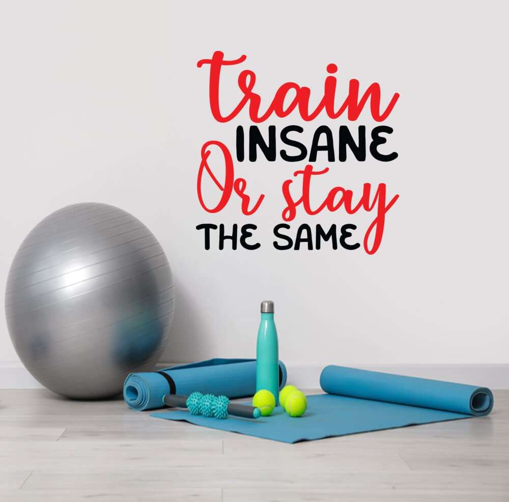 JVERF JBZ1266 Motivational Wall Sticker - Train Insane Or Stay The Same HD Self Adhesive Gym Fitness - Quotes Wall Sticker(BlackRed) [3 ft x 3 ft] / [91 cm x 91 cm] 6