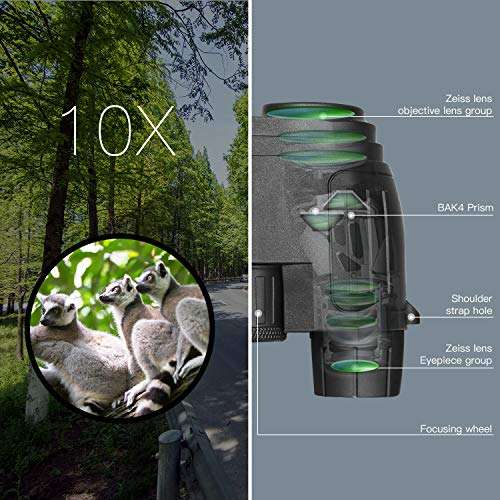 10X25 Compact Binoculars, Small Lightweight Binocular for Adults & Kids, Binoculars for Bird Watching Traveling Hiking Wildlife Outdoor, Easy Focus Folding Binoculars for Opera Concert Theater 3
