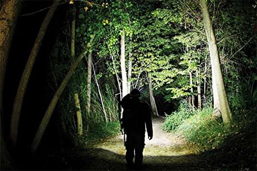 FSI Plastic Rechargeable Flashlight Torch , Black 6