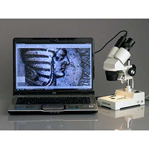 AmScope SE304-P Binocular Stereo Microscope, WF10x Eyepieces, 20X and 40X Magnification, 2X and 4X Objectives, Tungsten Lighting, Reversible Black/White Stage Plate, Pillar Stand, 110V 2