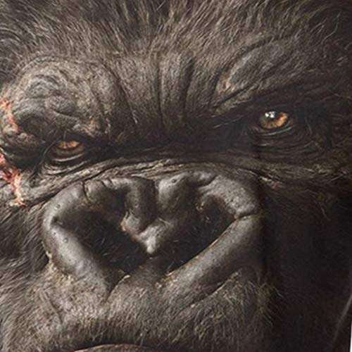 Men T Shirts Graphic Funny 3D Monkey Printed Short Sleeve Plus Size Fashion Casual Novelty Tees Tops (M, Black) 1