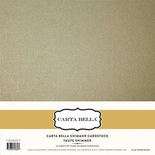 Carta Bella Paper Company CBDSC701 Taupe Shimmer Cardstock 92lb. Cover