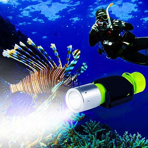 BlueFire Professional 1100 Lumen Diving Flashlight Bright Submarine Light Scuba Safety Lights Waterproof Underwater Torch for Outdoor Under Water Sports 2