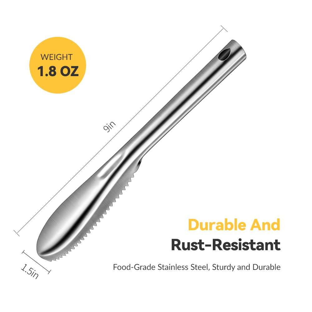 ADORAMBLING Fish Scaler Stainless Steel Fish Scaler Remover No Mess - Sturdy Fish Scale Remover Portable Fish Descaler Tool- Reliable Fish Cleaner Fish Scraper for Quick & Easy Fish Scaling Cleaning 6