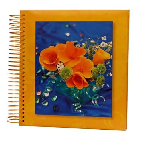Natraj Big Size Autostick 30 Sheet (Size 11x13 Inch) Album