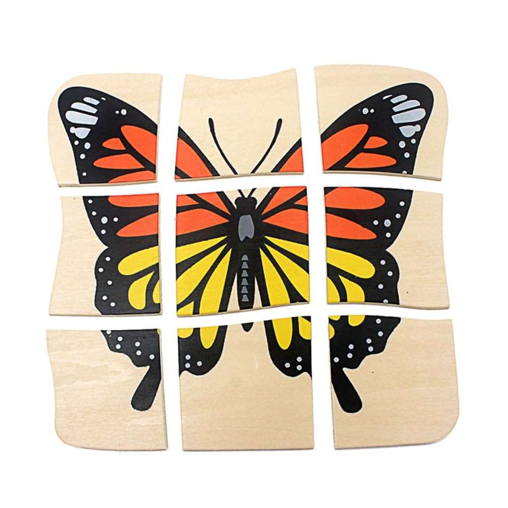 Toddler Montessori Science Toys Life Cycle of Butterfly Grow up 3D Puzzle Panel Preschool Infant Animals & Nature Kindergarten Butterfly Growth Puzzle 3