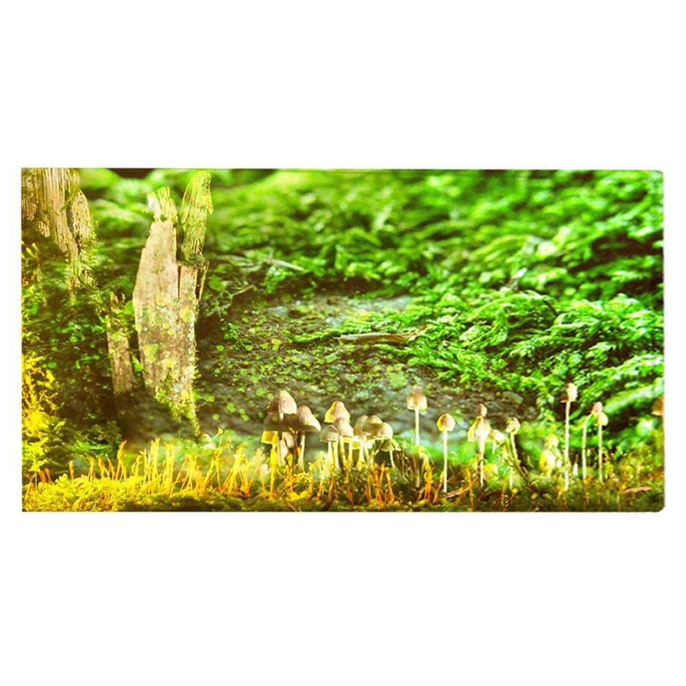 Indoor Door Mat, Super Absorbent Soft Non-Slip Non Slip Mat for Drying for Bathroom Bedroom, Kitchen(80 * 50cm) 1