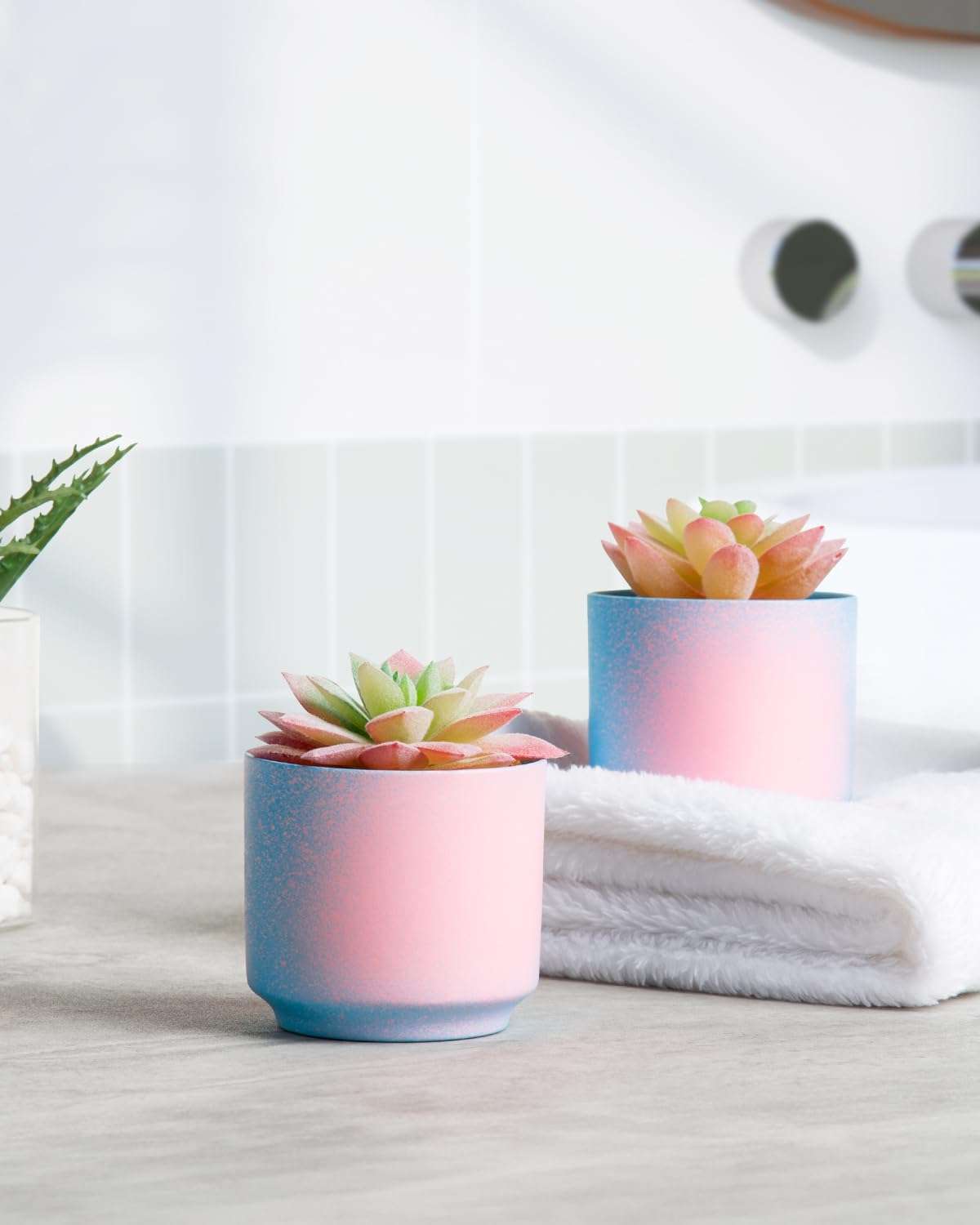ZENIDA Pink and Blue Desk Decor, Fake Succulents with Pots, Artificial Plants, Small Fake Plants for Office, Desk, Bathroom, Bedroom, Office Decor for Women, Party Gifts 5