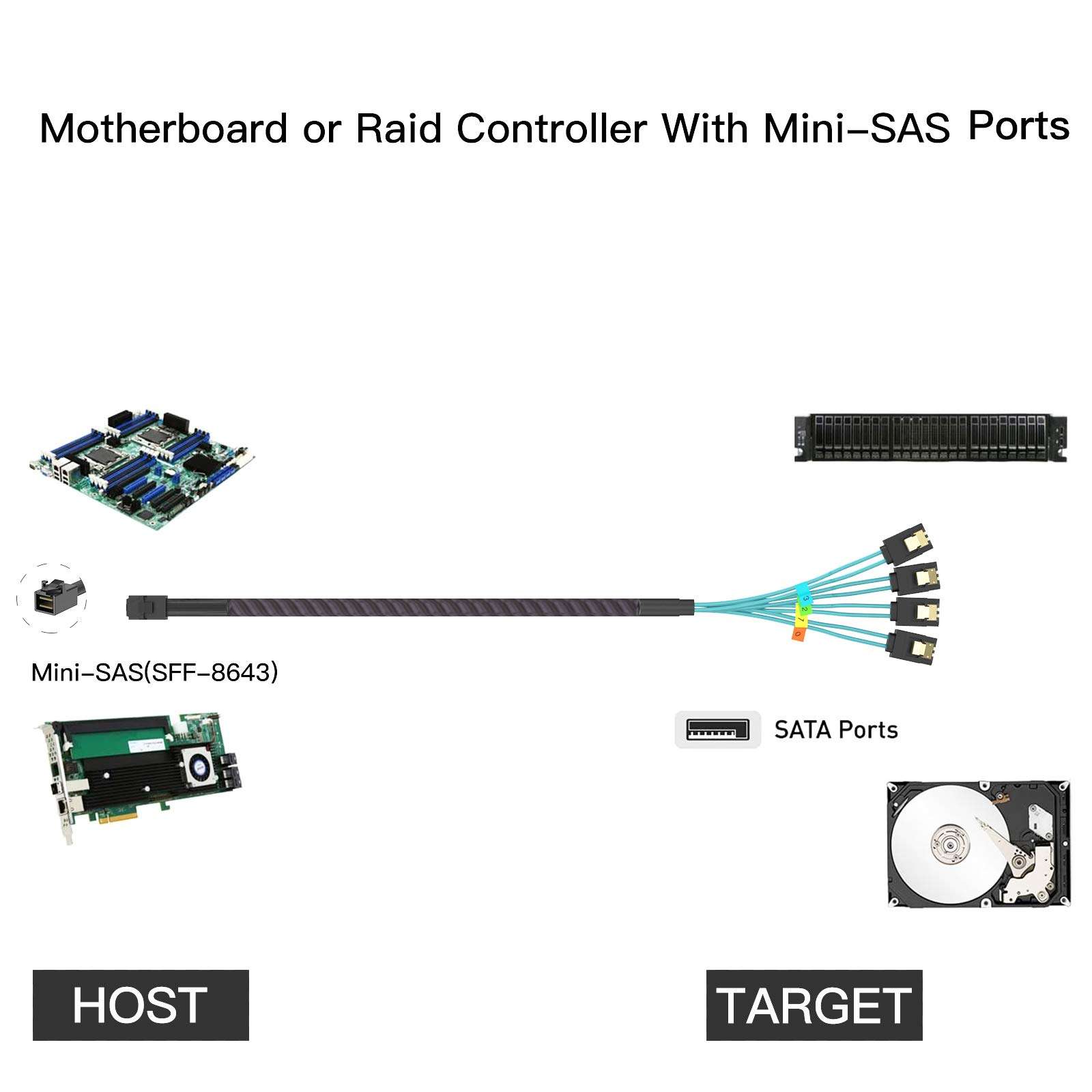 WORDIMA Mini SAS SATA Cables, SAS SATA SSD Cable SFF-8643 to 4xSATA Cable,Compatible SAS SSD2.5 Drive 3.5 HP Micron Samsung 2tb Intel or Raid Controller Hard Drive 2