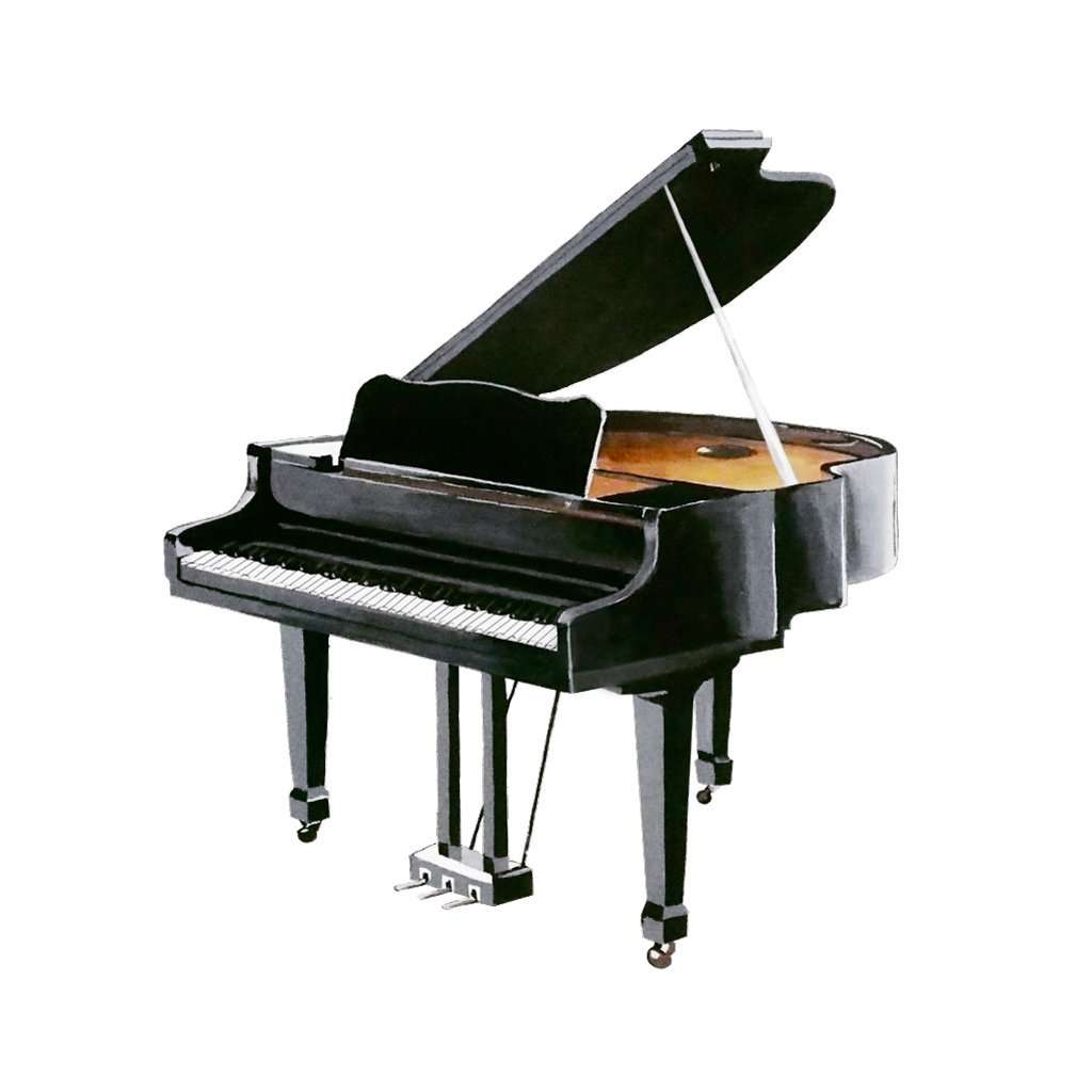 Brainsmith Quantum Cards – Musical Instruments Set 1 – Encyclopaedic Flashcards – Early Learning – Sensory Development - Birthday Gift (for Children from 8 Months and Above – Brain Development) 4