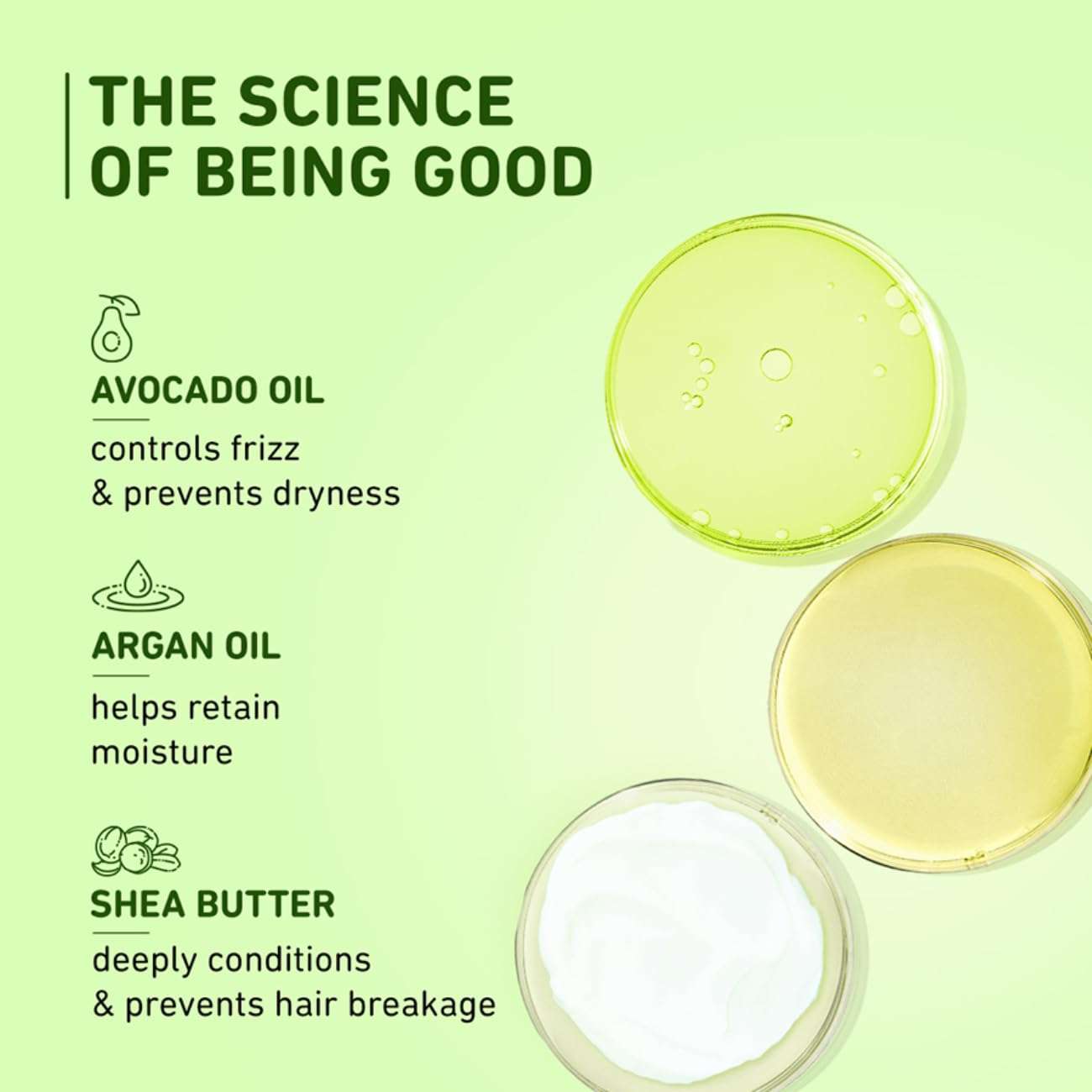 Plum Avocado Fresh Hair Mask For Dry And Frizzy Hair I With Argan Oil & Shea Butter | Hair Mask For Frizzy, Curly Hair I 80 Gm, 1 Count 4