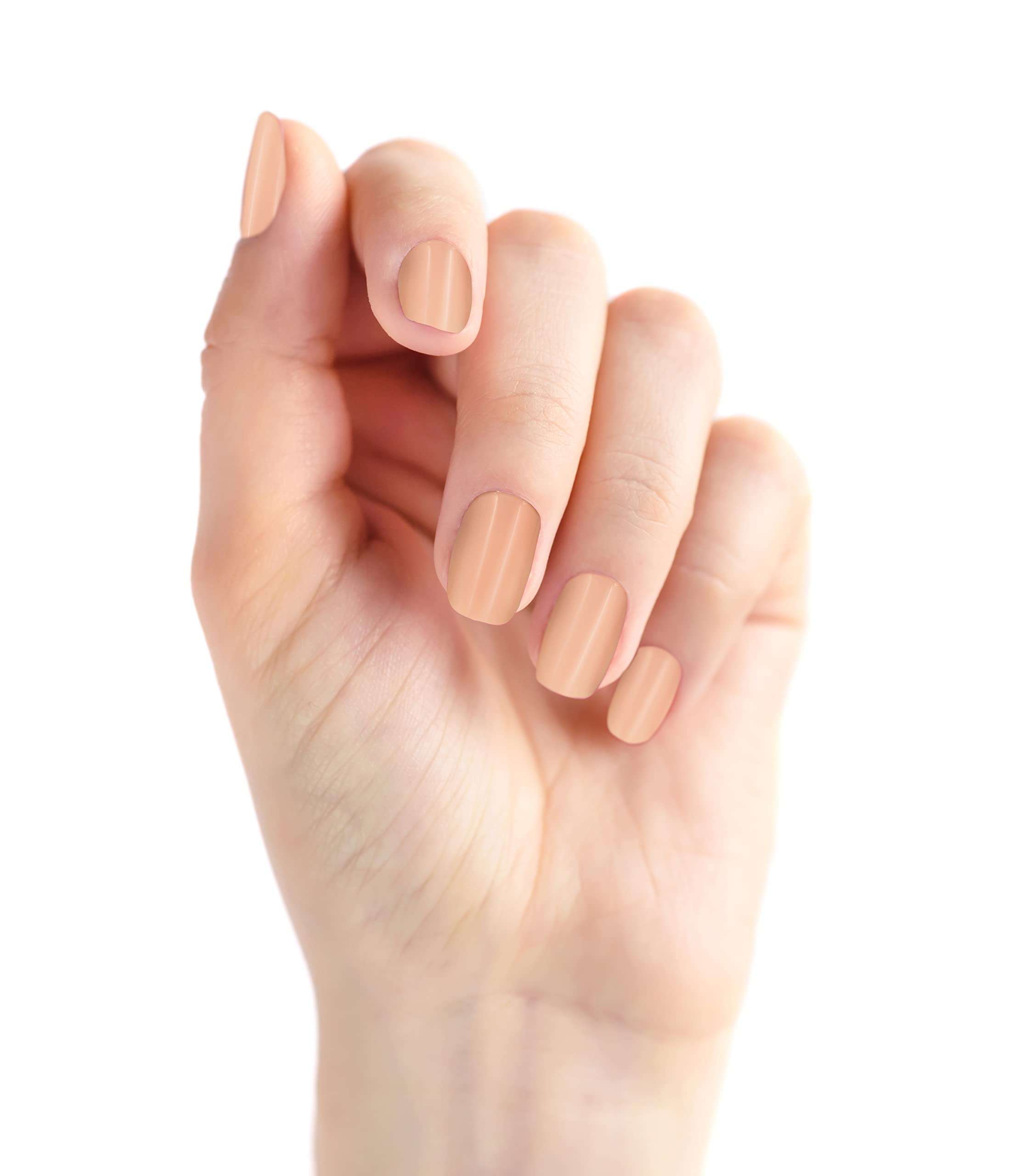 RENEE Stick On Nails BN 02| 24 Reusable Artificial Fake Nail Set| Lightweight & Long Lasting & RENEE Face Gloss For Glass Like Skin - Instant Illumination, Radiant Glow, Pore Tightening 3