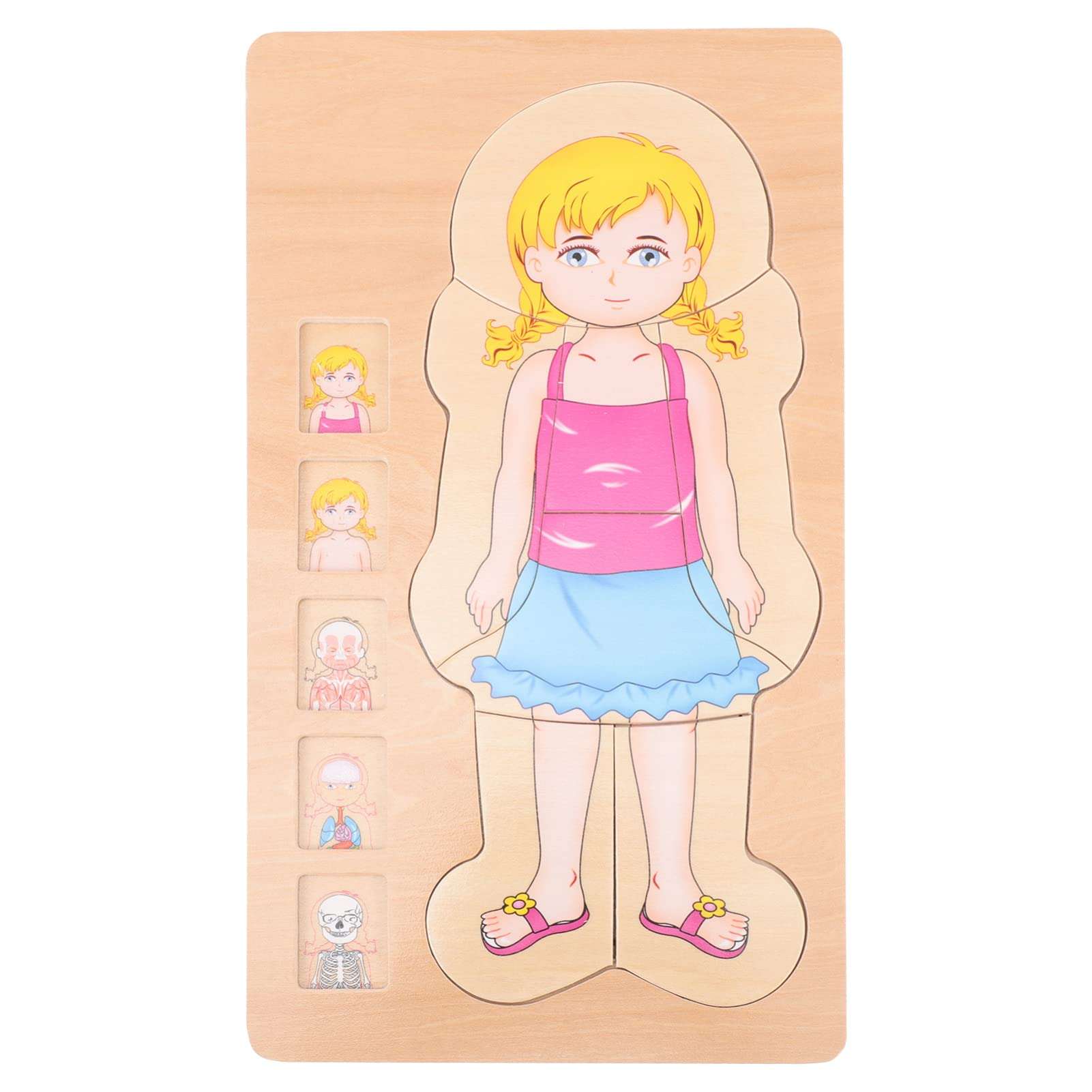 TOYANDONA 1pc Multilayer Puzzle Body Structure Toy Body Parts Puzzle Anatomy Puzzle for Kids My Body Puzzle Kids Shape Sorter Puzzle Toy Preschool Wooden Three-Dimensional 1