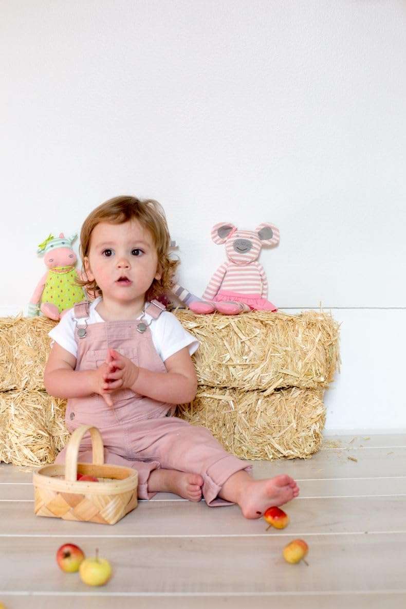 Organic Farm Buddies Apple Park Boxer The Dog Plush Baby Toy for Newborns, Infants, Toddlers - Hypoallergenic, 100% Organic Cotton 4