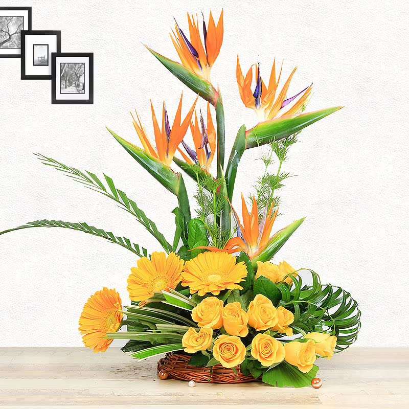 FlowerAura Decorative 10 Yellow Gerberas, 10 Yellow Roses & 4 Orange Birds Of Paradise Fresh Live Flowers Bouquet With Wooden Basket Valentine's Day Special Gifts For Girlfriend, Boyfriend 1