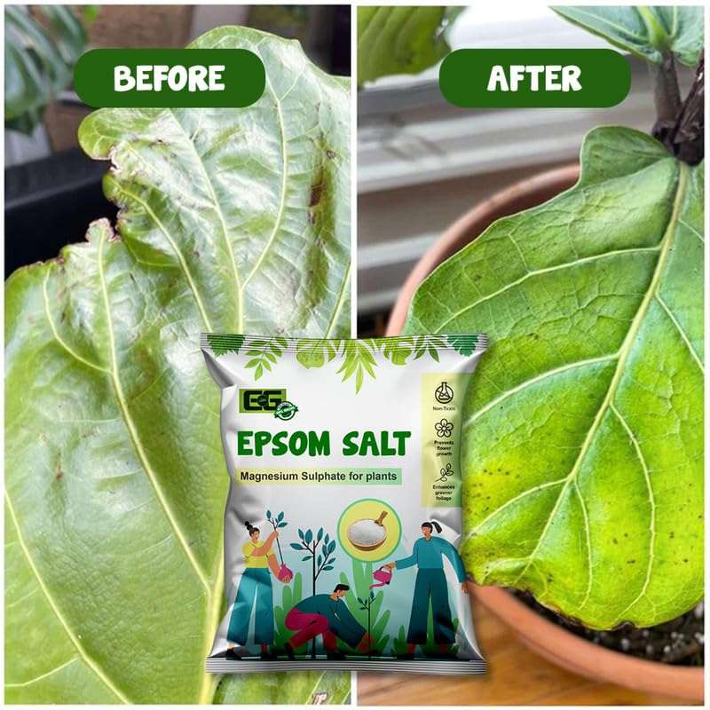 Elamgreen Epsom Salt For Plants 5kg magnesium sulphate Fruit and flower fertilizer vegetable fertilizer 2